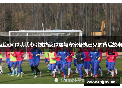 武汉网球队状态引发热议球迷与专家各执己见的背后故事